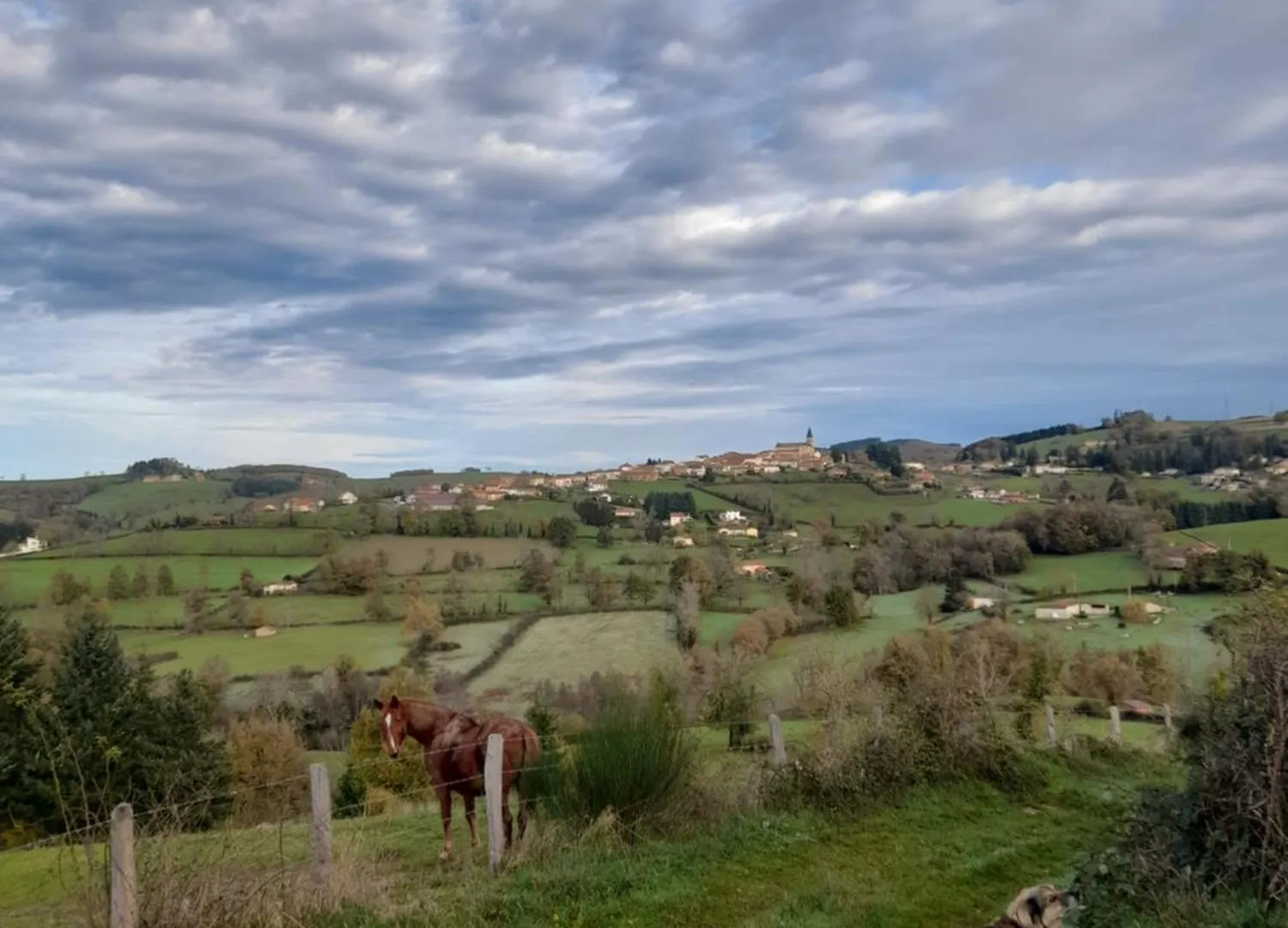 Gite Mascotte La Gresle Holiday home
