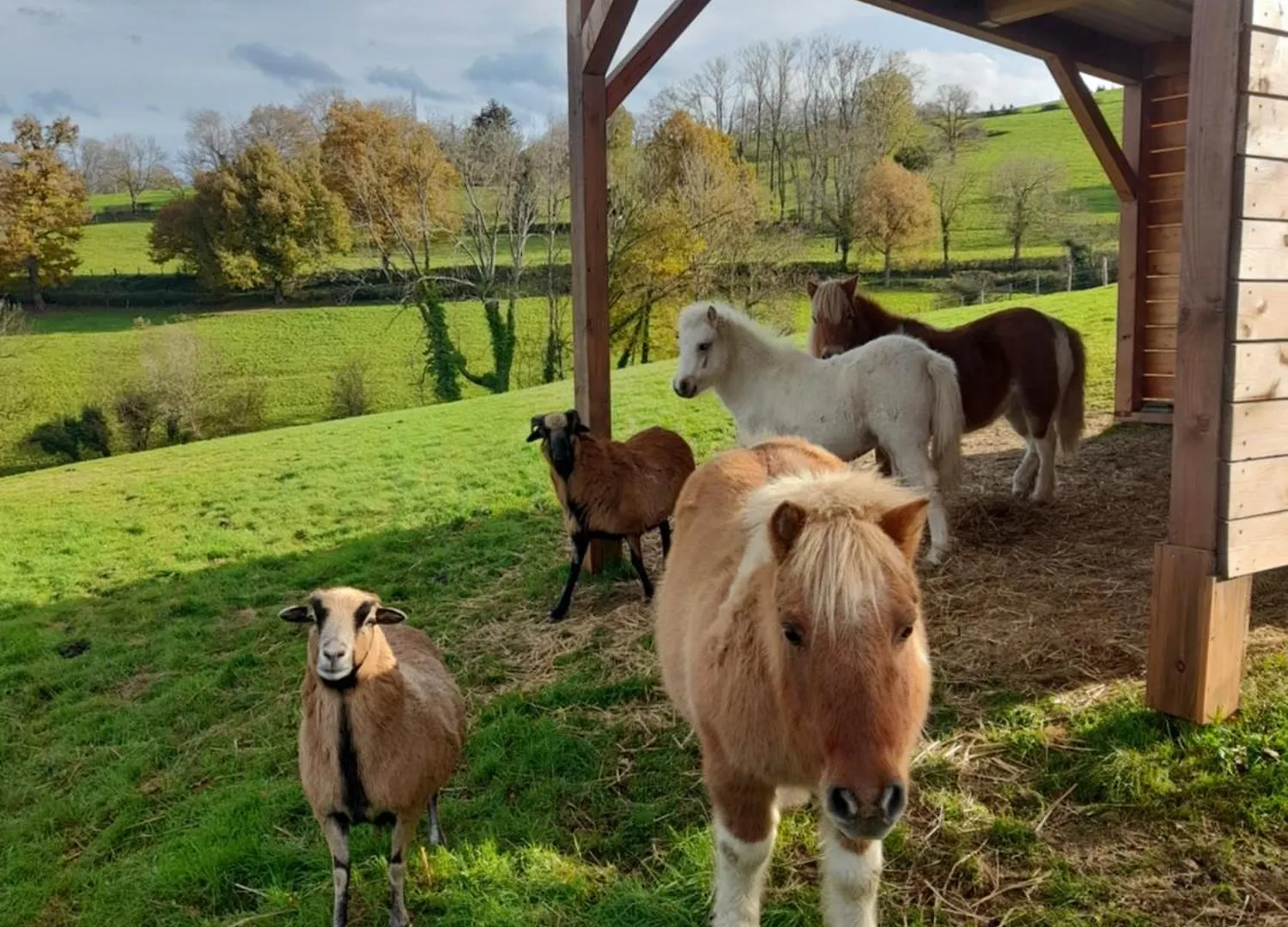 Gite Mascotte La Gresle France